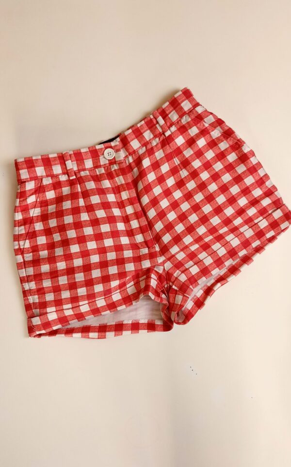 Dolce & Gabbana Vichy Gingham Silk Pin-up Shorts