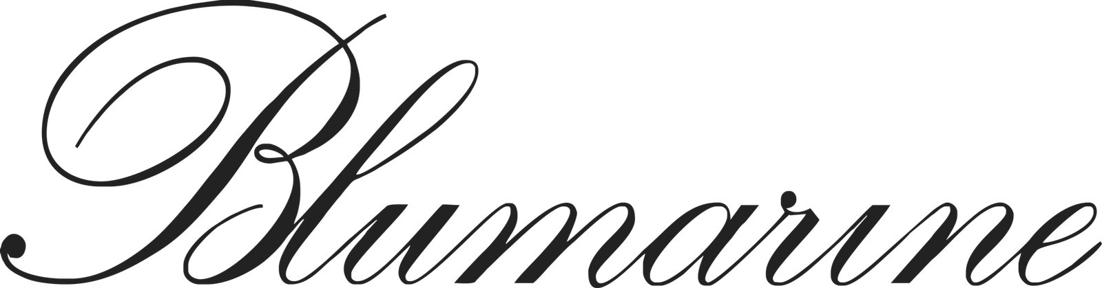 BLUMARINE Logo