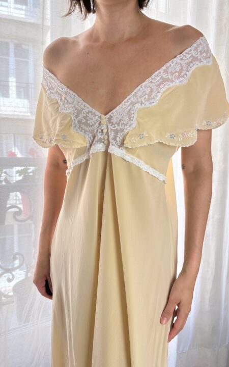 Silk Embroidered Italian Gown