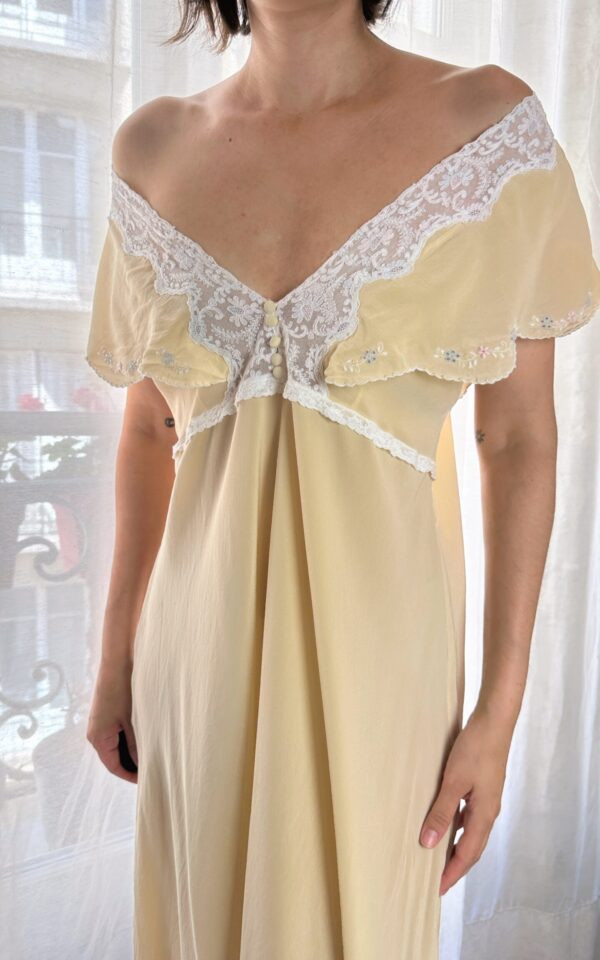 Silk Embroidered Italian Gown