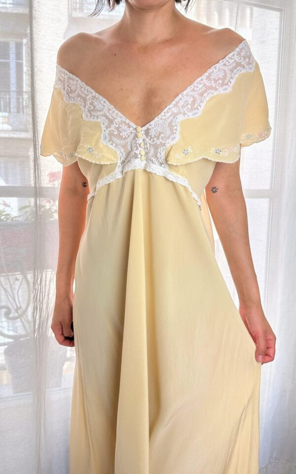 Silk Embroidered Italian Gown